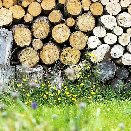 20137-samso-topmejsevej-8 * Nordby (Midtjylland)