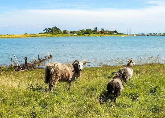 20137-samso-topmejsevej-8 Nordby (Midtjylland)